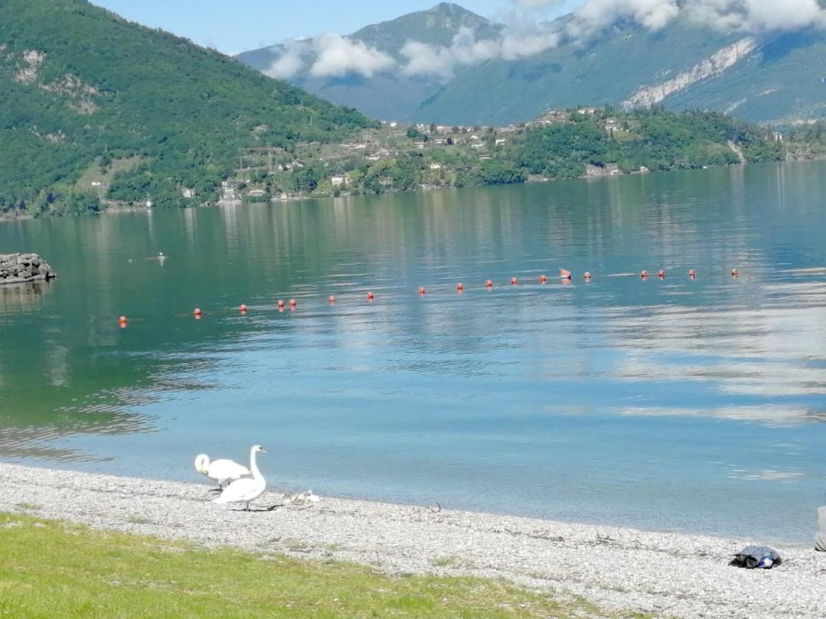 L'Antico Borgo, Un Mix Di Storia E Romanticismo Βίλα Lierna Εξωτερικό φωτογραφία